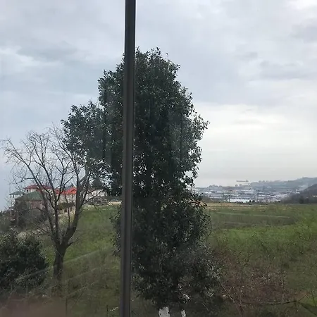 منفصل مع إطلالة Apartment
